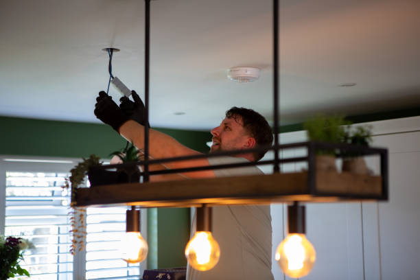 Best Electric Panel Repair  in Ferndale, CA